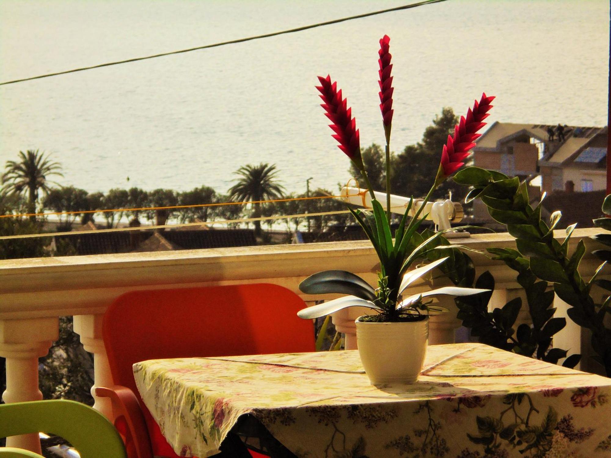 Villa Lastva Apartments Tivat Buitenkant foto